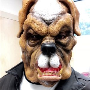 Meet your Posher, Brandon